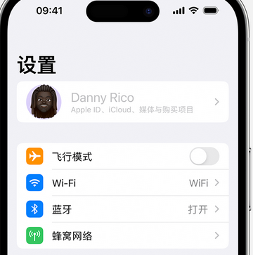 赣县appleID维修服务iPhone设置中Apple ID显示为灰色无法使用 