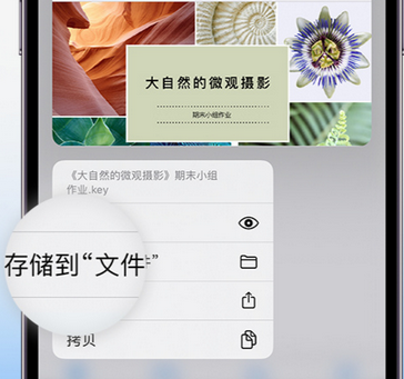 赣县apple维修中心分享iPhone文件应用中存储和找到下载文件