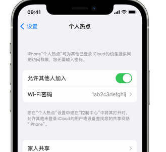 赣县apple服务站点分享iPhone上个人热点丢失了怎么办