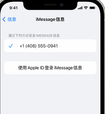 赣县apple维修iPhone上无法正常发送iMessage信息 