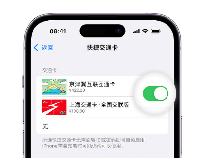 赣县apple维修点分享iPhone上更换Apple Pay快捷交通卡手绘卡面 