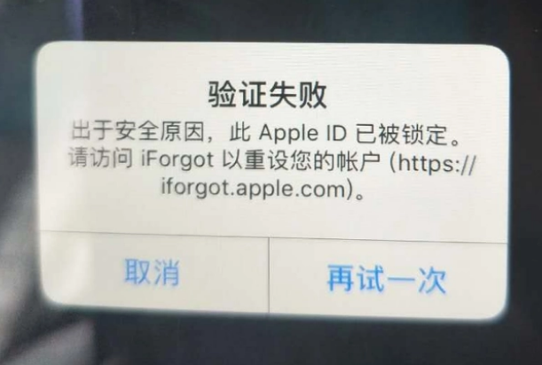 赣县iPhone维修分享iPhone上正常登录或使用AppleID怎么办 