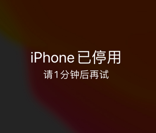 赣县苹果手机维修分享:iPhone 显示“不可用”或“已停用”怎么办？还能保留数据吗？ 