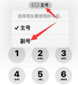 赣县苹果14维修店分享iPhone 14 Pro Max使用副卡打电话的方法 