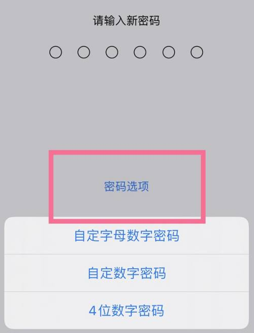 赣县苹果14维修分享iPhone 14plus设置密码的方法 