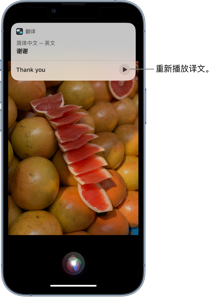 赣县苹果14维修分享 iPhone 14 机型中使用 Siri：了解 Siri 能帮你做什么 