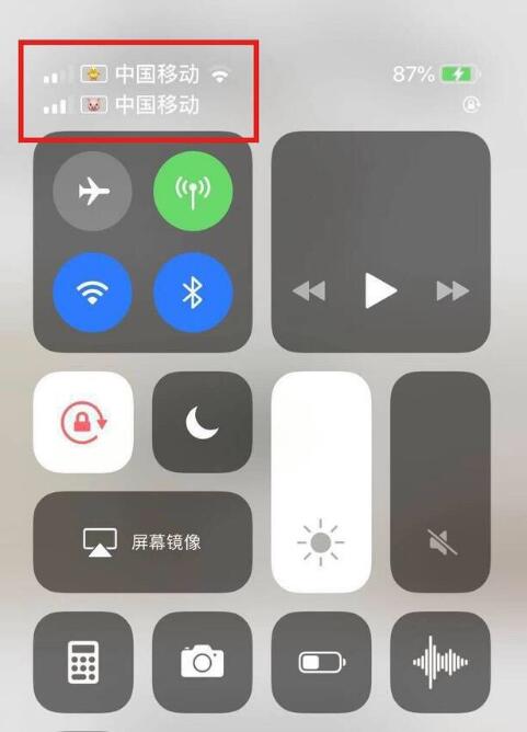 赣县苹果手机维修分享为 iPhone 12 双卡设置标签 