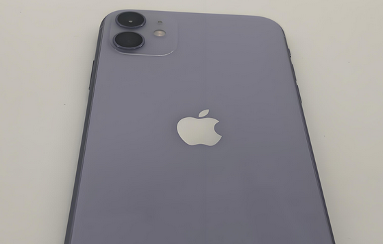 赣县苹果11系统维修分享iPhone11手机系统崩溃无法开机如何解决 